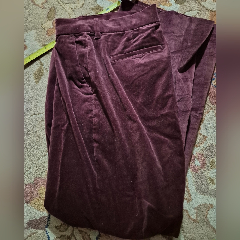 GAP Velvet Pants in Rich Burgundy